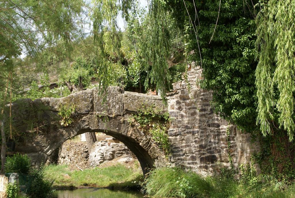 El Molino De Losacio エクステリア 写真